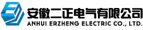 安徽二正电气有限公司